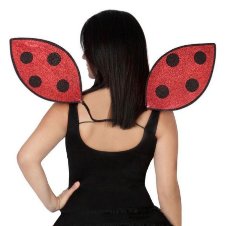 Ailes Coccinelle Rouge