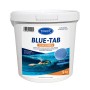 chlore Tamar blue tab 10 1205106050 5kg