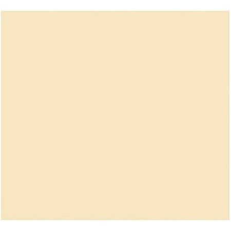 Cartulina Iris Beige 50 x 65 cm (25 Unidades)