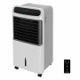 Climatiseur Évaporation Portable Cecotec Blanc 12 L