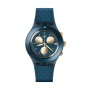 Montre Homme Swatch SVCN4006