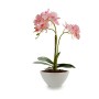 Planta Decorativa Orquídea 16 x 49 x 28 cm Plástico (4 Unidades)