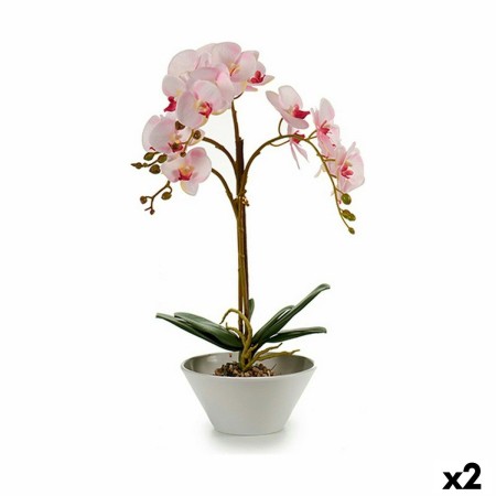 Plante décorative Orchidée Plastique 20 x 60 x 28 cm (2 Unités)