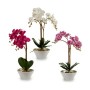 Planta Decorativa Orquídea Plástico 20 x 60 x 28 cm (2 Unidades)