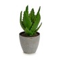 Planta Decorativa Aloe Vera 14 x 21 x 14 cm Gris Verde Plástico (6 Unidades)