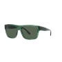 Gafas de Sol Unisex Emporio Armani EA 4197