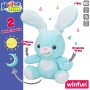 Jouet pour bébé Winfun PEEKABOO Lapin 25 x 35 x 18 cm (4 Unités)