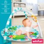 Tapis de jeu Winfun (2 Unités)