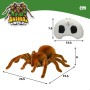 Araignée Animal World 22,5 x 8 x 23,5 cm Plastique (2 Unités)