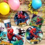 Set Artículos de Fiesta Spiderman 66 Piezas