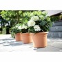 Pot Elho  Ronde Rose Plastique Ø 30 cm