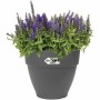 Pot Elho  Ronde Anthracite Plastique Ø 40 cm