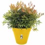 Pot Elho  Ronde Plastique Ø 40 cm