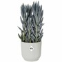 Pot Elho  Ø 22 cm Ronde Blanc Plastique