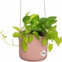 Pot Elho  Ronde Rose Plastique Ø 18 cm