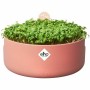 Maceta Elho Magic Microgreens Redonda Plástico Ø 16 cm