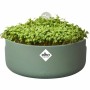 Maceta Elho Magic Microgreens Redonda Verde Plástico Ø 16 cm