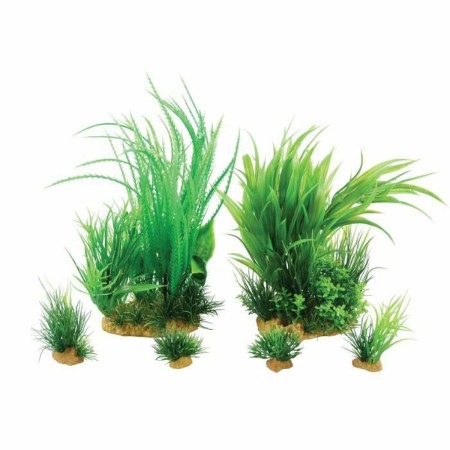 Plante décorative Zolux Jalaya 6 Pièces