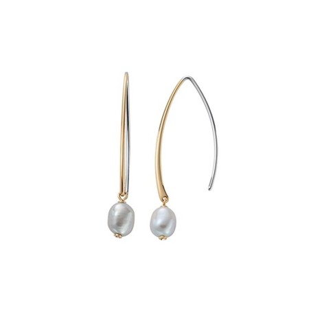 Boucles d´oreilles Femme Skagen SKJ1533710