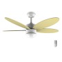 Ventilateur de Plafond Cecotec EnergySilence Aero 4260