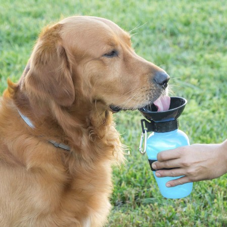 Botella Bebedero de Agua para Perros InnovaGoods (Reacondicionado C)