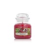 Vela Perfumada Yankee Candle Frambuesa 104 g