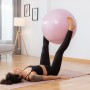 Pelota de Yoga con Anillo de Estabilidad y Bandas de Resistencia AshtanBall InnovaGoods Rosa (Reacondicionado B)