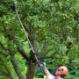 Motosierra Ryobi 25 cm