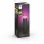 Borne lumineuse à LED Philips Calla Noir Métal Aluminium (6500 K)