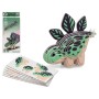 Puzzle 3D Dino Vert 18 x 8 cm