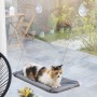 Hamac Suspendu pour Chats Catlax InnovaGoods Blanc (Reconditionné A)