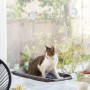 Hamac Suspendu pour Chats Catlax InnovaGoods Blanc (Reconditionné A)