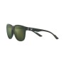 Lunettes de soleil Homme Emporio Armani EA 4205