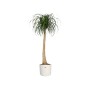 Pot Elho Blanc Plastique 30 x 30 x 28 cm