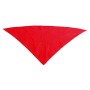 Foulard Triangulaire 143029 (100 x 70 cm)