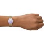 Montre Femme Skagen SKW3084