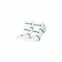 Calcetines Deportivos Puma Bwt Sneaker Blanco