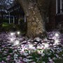 Lámpara solar Lumisky Alesia LED Plateado Acero Inoxidable Blanco Frío (8 Unidades)