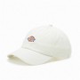 Casquette de Sport Dickies Hardwick Cloud (Taille unique)