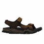 Sandales de montagne Timberland Winsor Trail Marron