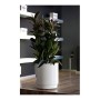 Pot Plastiken 4132 Gris Anthracite Plastique Ø 32 cm