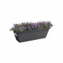 Pot Elho Noir Anthracite Plastique Rectangulaire Moderne