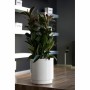 Pot Plastiken Blanc Plastique Carré Ø 38 cm