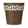 Pot auto-arrosant Stefanplast Cloe Marron Plastique 29 x 29 x 29 cm (6 Unités)