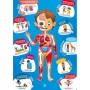 Puzzle 3D Hape 50 Piezas 100 x 50 cm Cuerpo humano