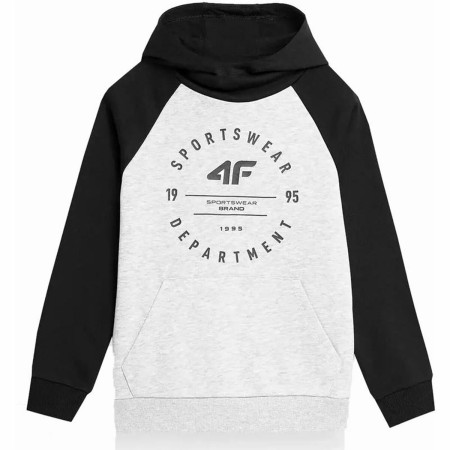 Sudadera Infantil 4F 221 Cold Light Gris