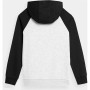 Sudadera Infantil 4F 221 Cold Light Gris