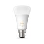 Ampoule à Puce Philips 8719514291157 B22