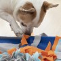 Tapis Olfactif pour Animaux de Compagnie Fooland InnovaGoods (Reconditionné A)