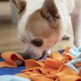 Tapis Olfactif pour Animaux de Compagnie Fooland InnovaGoods (Reconditionné A)